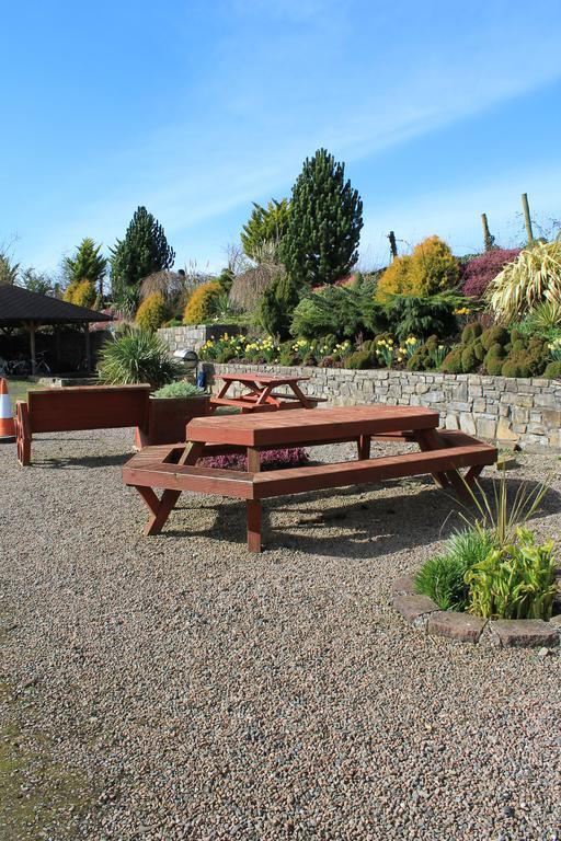 Bective Mill B&B Kilmessan Exterior foto